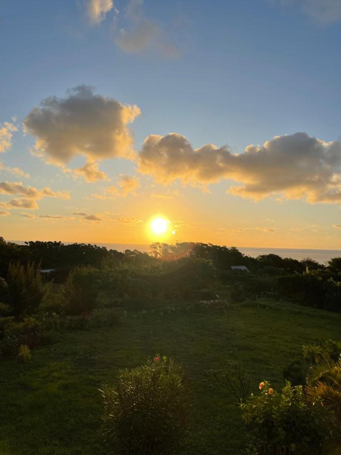 Teanehi Bed & Breakfast Hanga Roa Eksteriør bilde